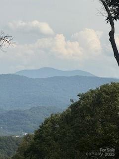 Property at 0 Signature Row Boulevard, Waynesville, NC 28785