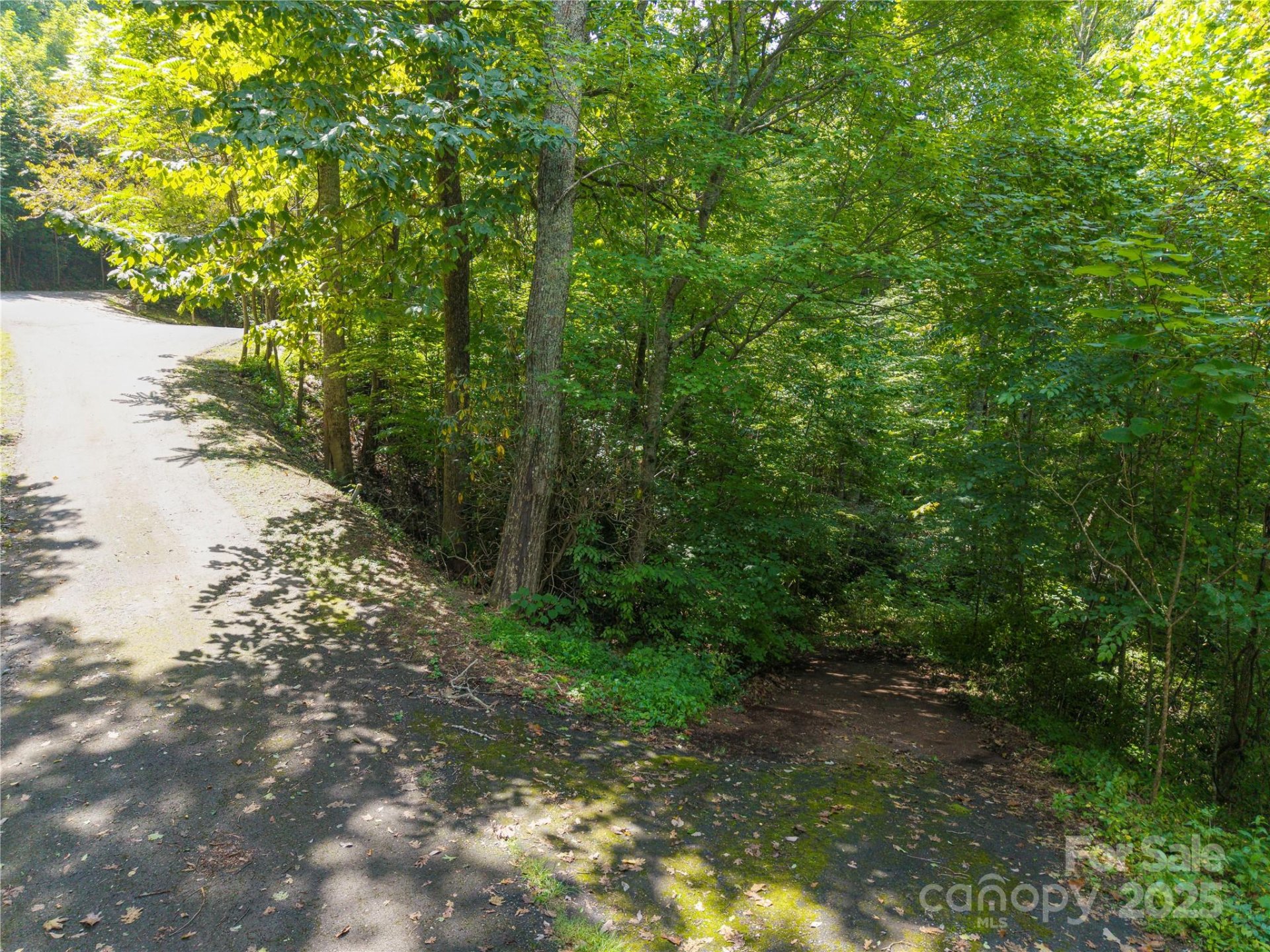 Property at Lot 60 Chesten Mountain Drive, Asheville, NC 28803