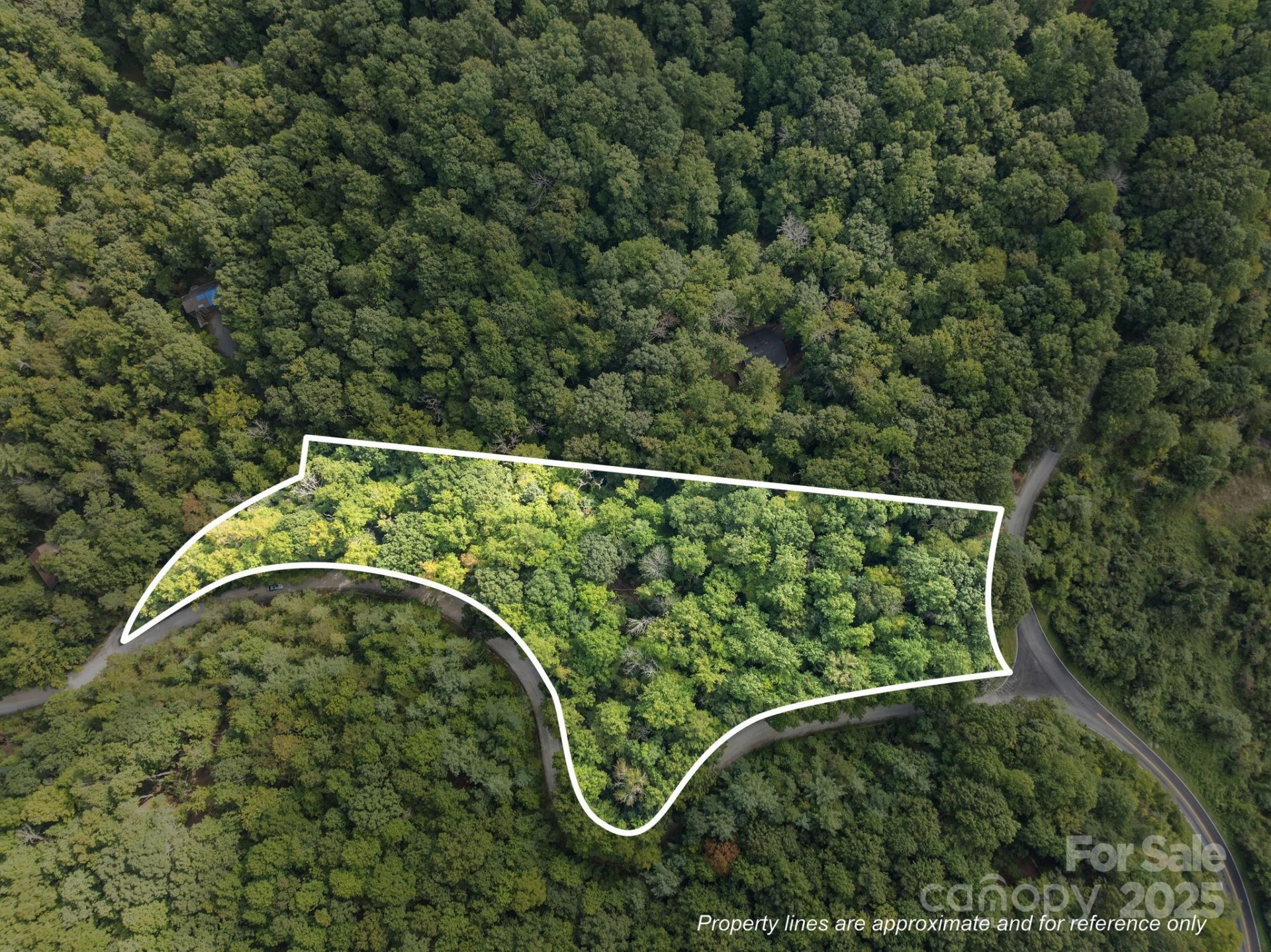 Property at 1 Rixhaven Drive, Saluda, NC 28773