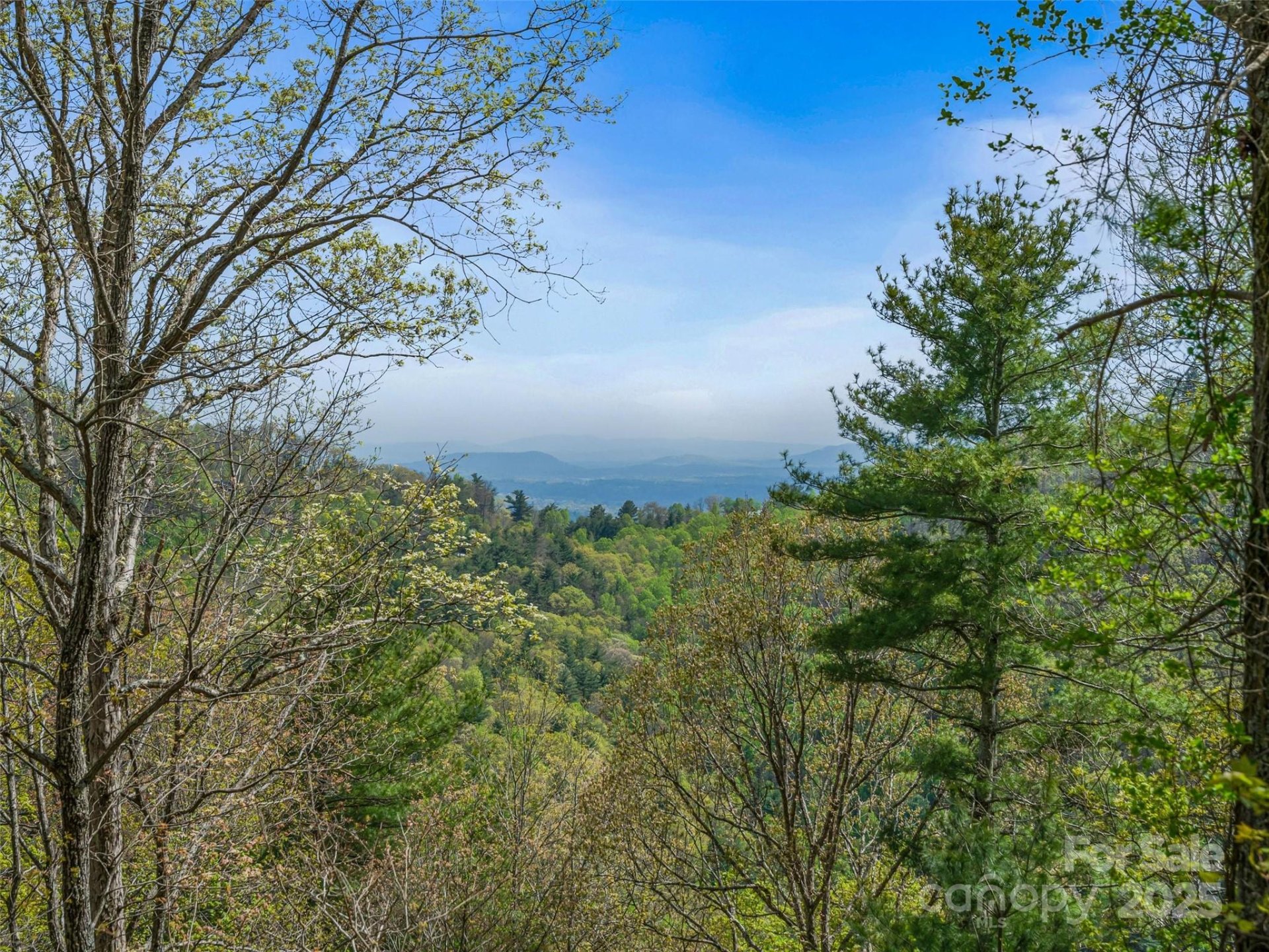 Property at 99999 Waxwing Way, Asheville, NC 28804