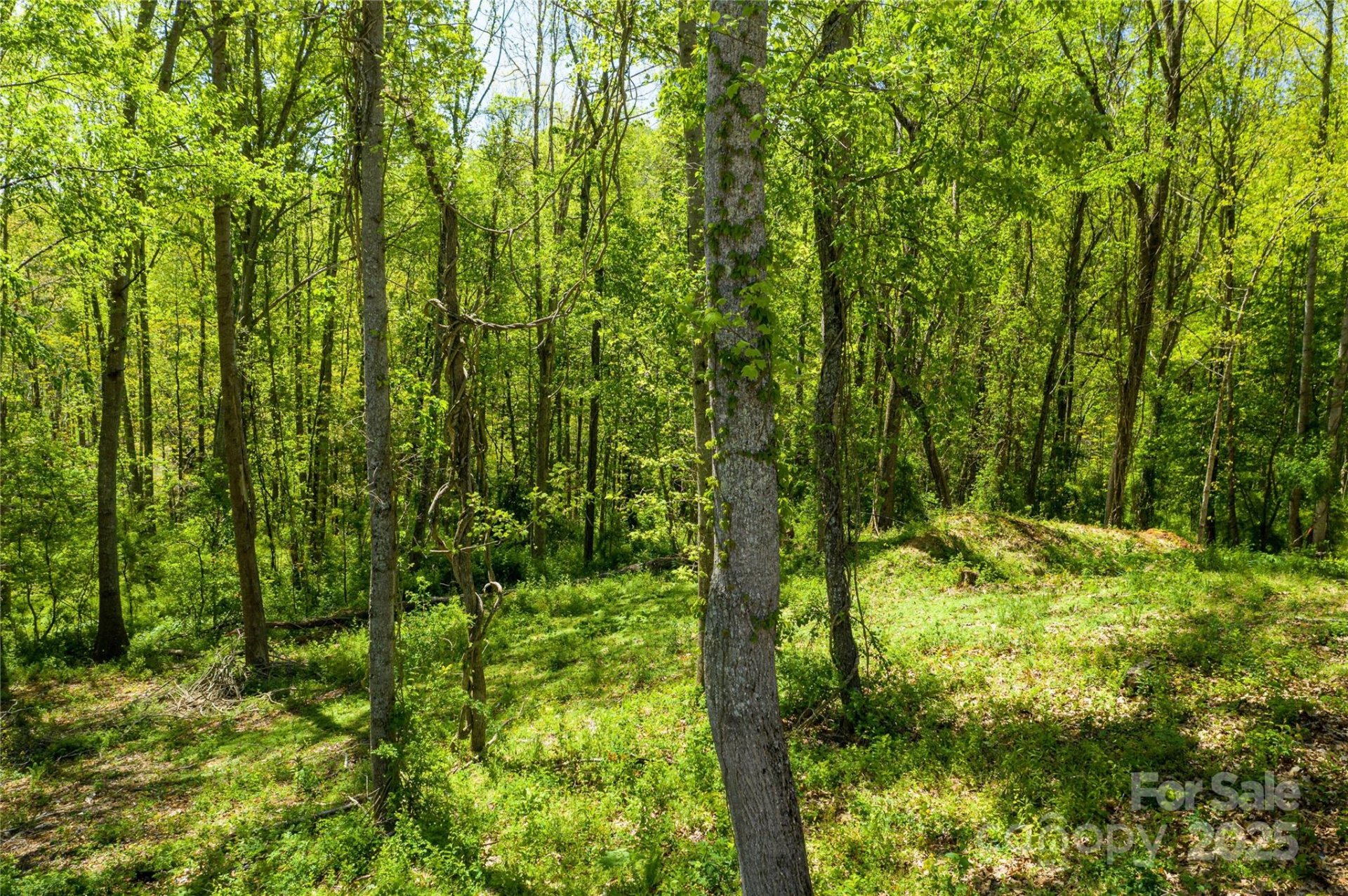 Property at 9999 Bee Balm Way, Asheville, NC 28804