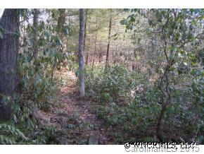 Property image 1 at L 1 Steel Creek Road, Brevard, NC 28712