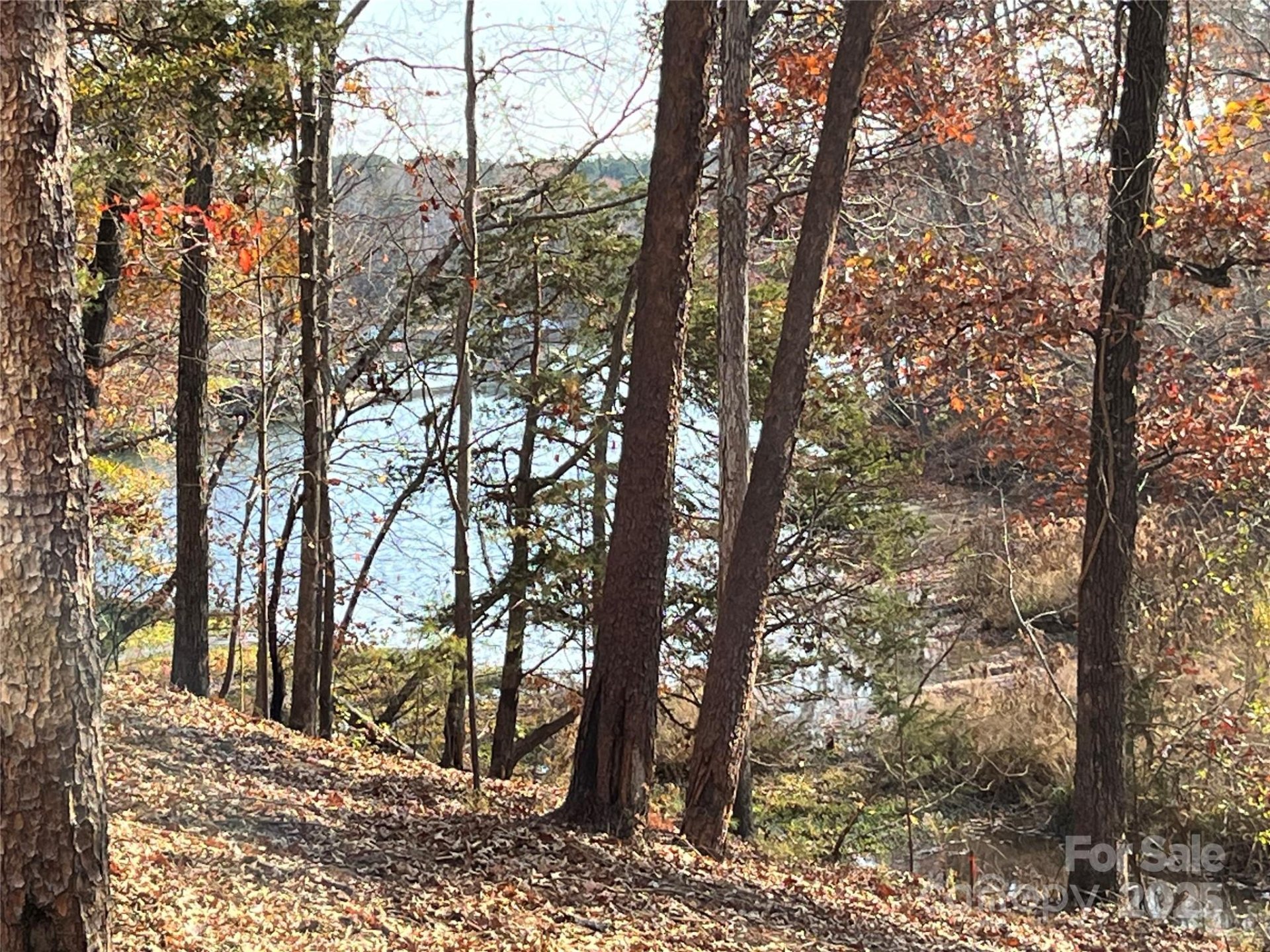 2868 Watergarden Street