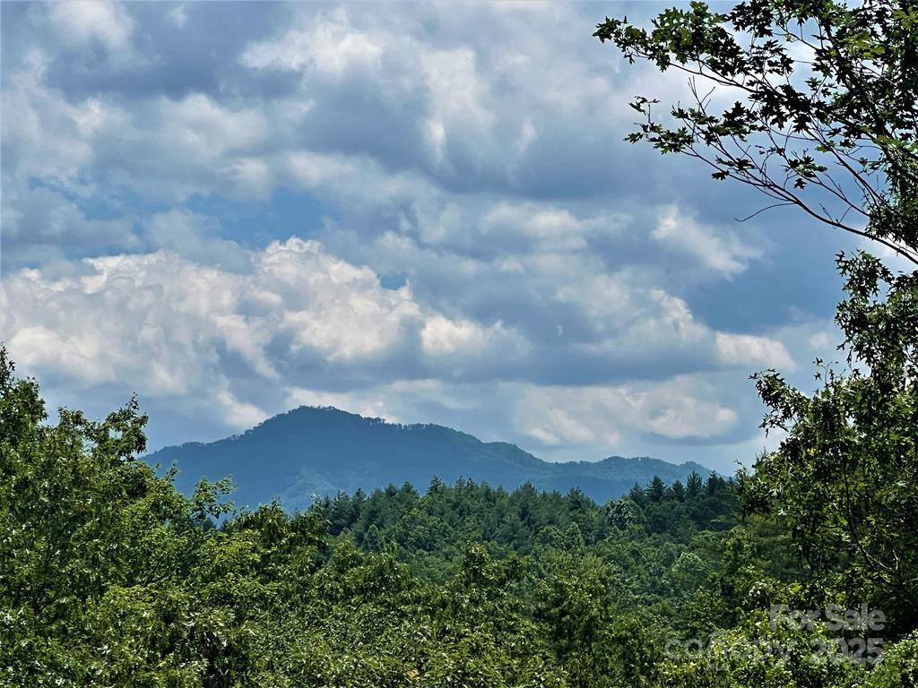 Property image 1 at 59 Musket Road, Almond, NC 28702