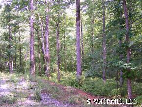 Property image 1 at 21 Barts Branch Drive, Balsam Grove, NC 28708