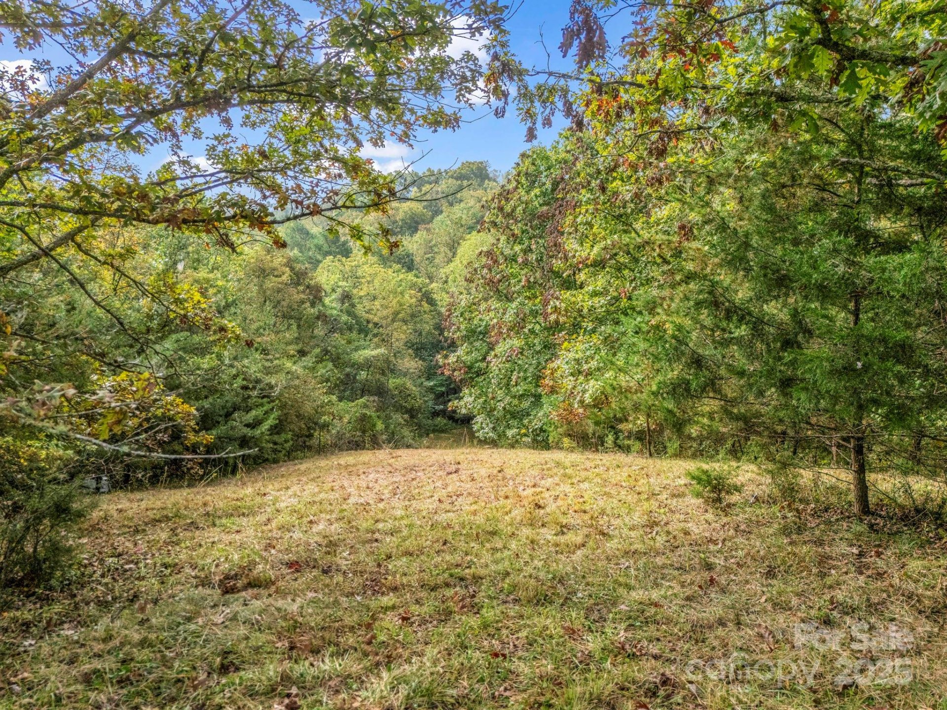 Property at 19 Woodchuck Cove Way, Alexander, NC 28701