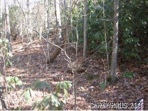 Property image 1 at 0 Wilson Drive, Brevard, NC 28712