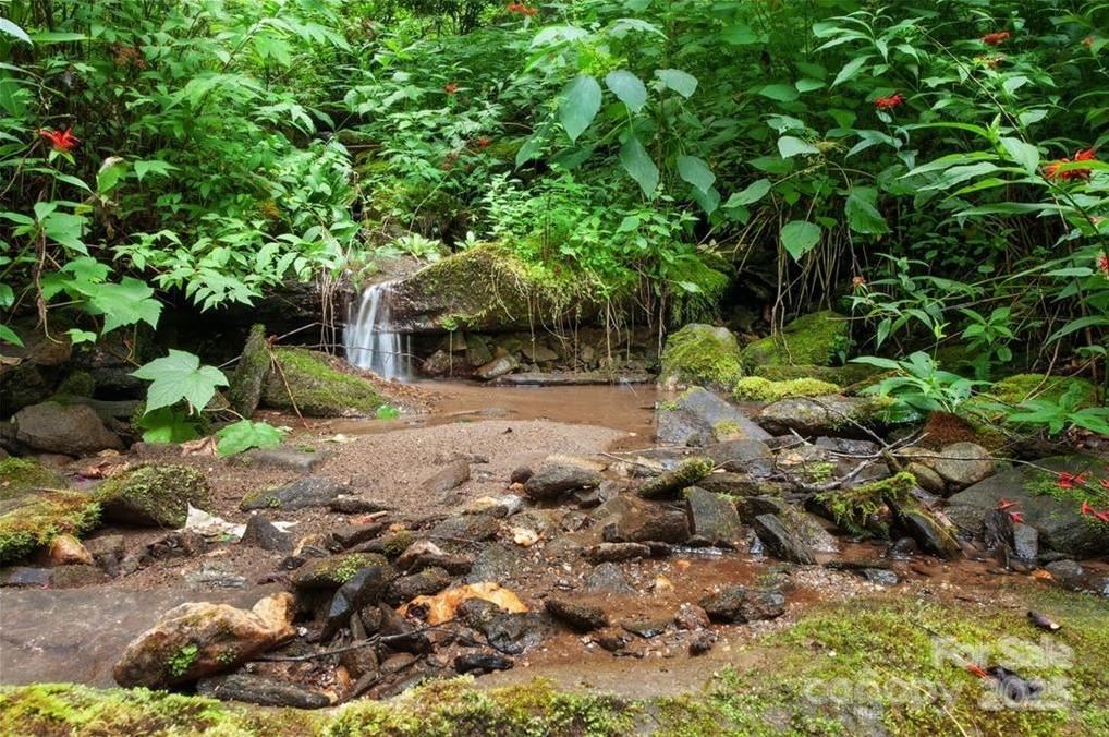 Property at 15 Mountain Mint Drive, Swannanoa, NC 28778