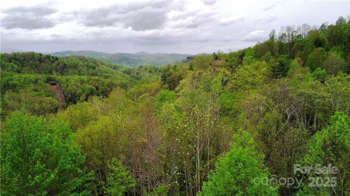 Property at Lot 8 Stack Rock Road, Elk Park, NC 28604