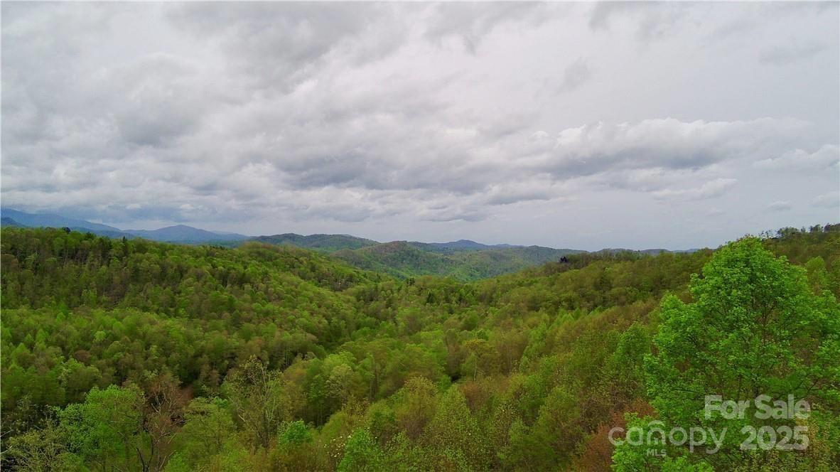 Property at Lot 24 Lake View Drive, Elk Park, NC 28622