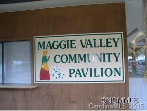 Property image 1 at 46 Setzer Cove, Maggie Valley, NC 28751