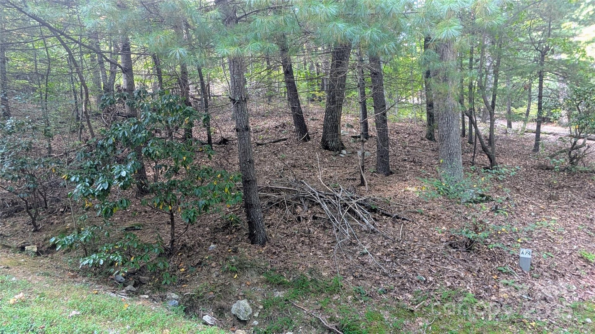 Property at 101 Scenic Drive, Flat Rock, NC 28731