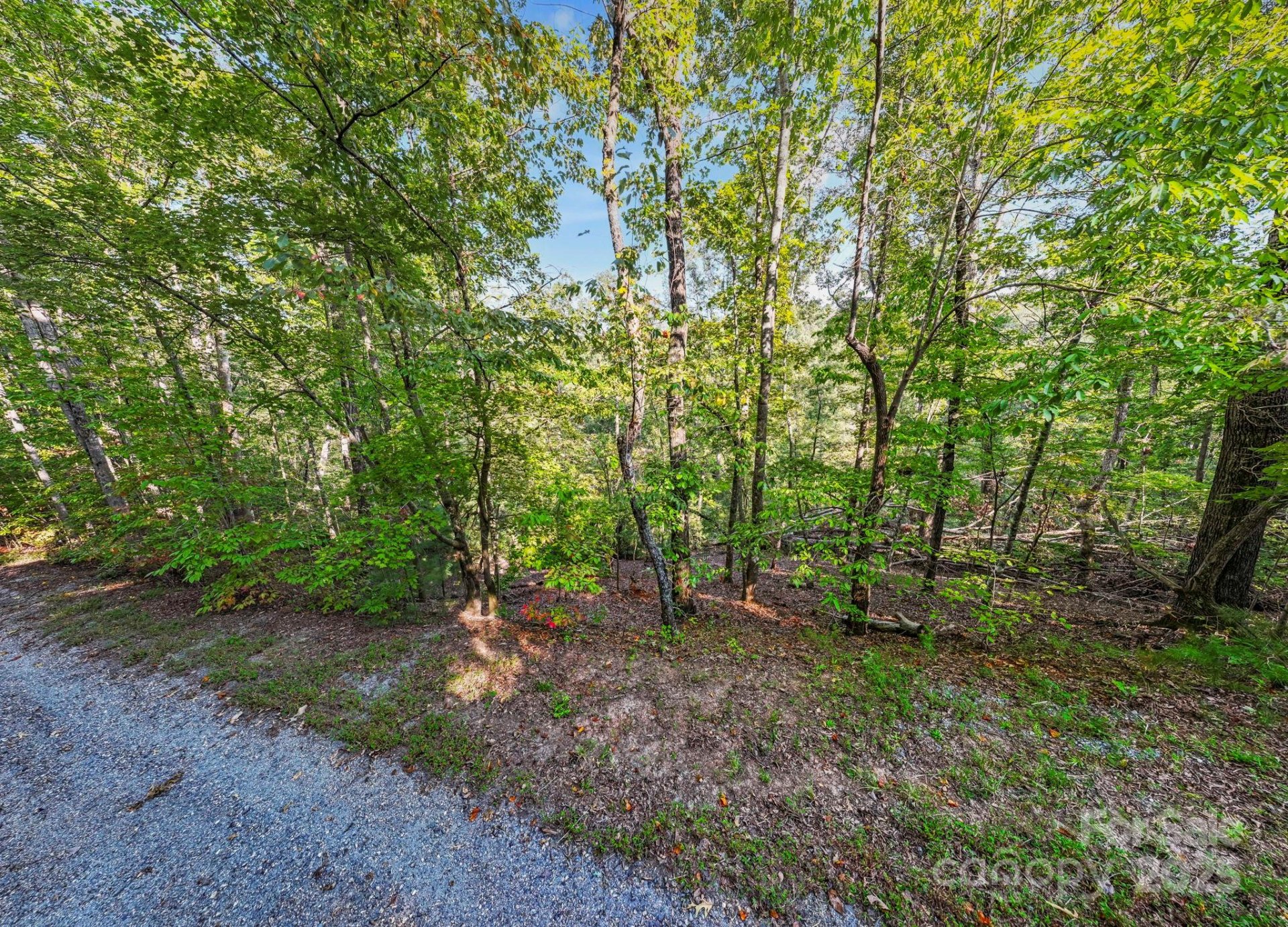 Property at 394 Doves Way, Lake Lure, NC 28746