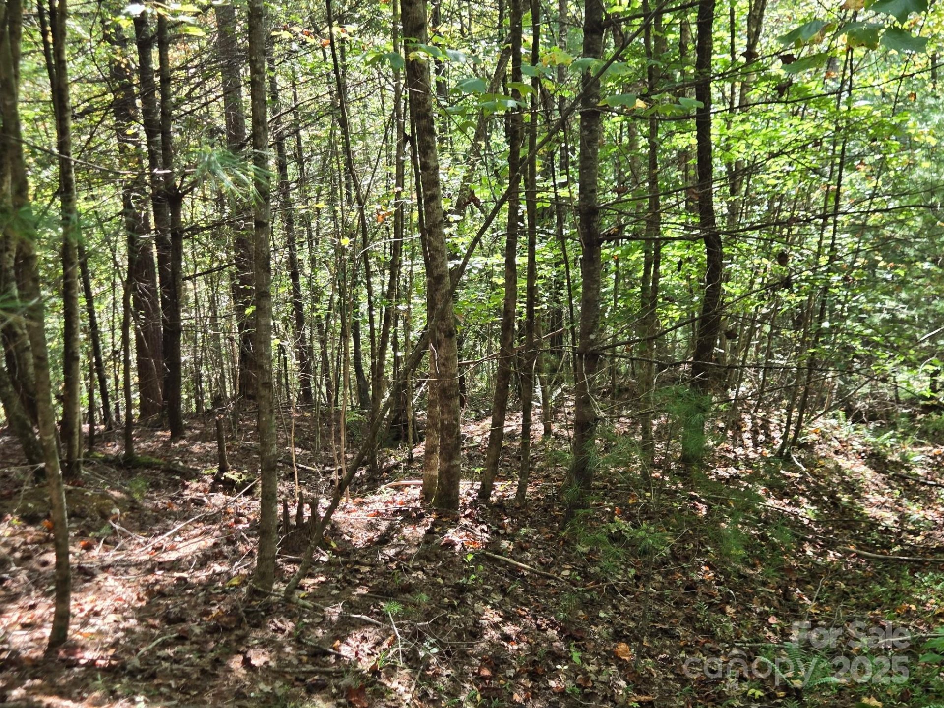 Property at 100 Stepp Ridge Court, Hendersonville, NC 28792