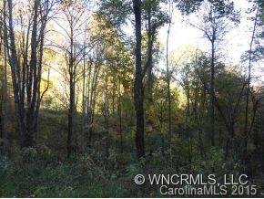 Property image 1 at Lot 40 Wolverine Ct, Waynesville, NC 28785