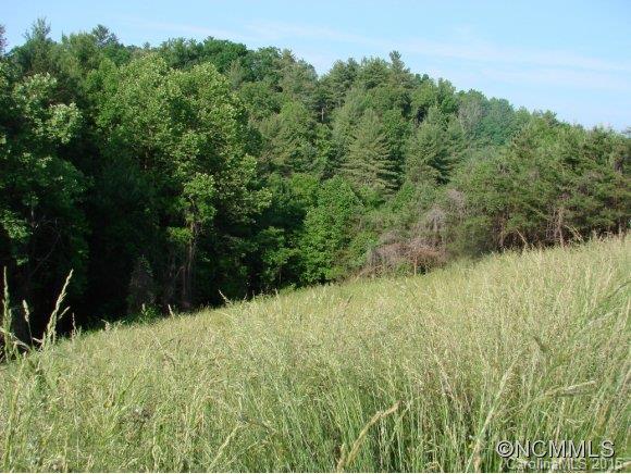 Property image 1 at 24 Ridge Brook Drive, Weaverville, NC 28787