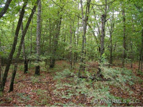 Property image 1 at 0 Speckled Trout Run, Brevard, NC 28712