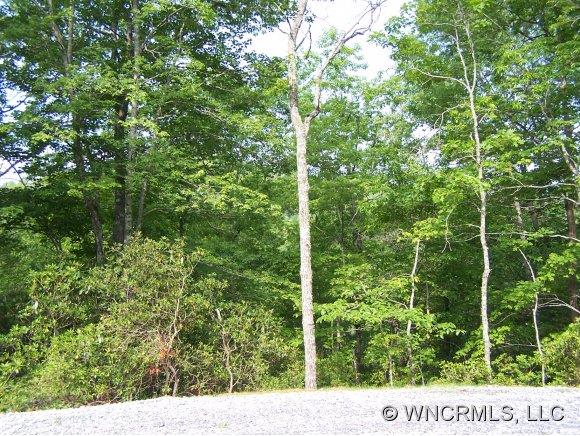 Property image 1 at 5 Barts Branch Drive, Balsam Grove, NC 28708