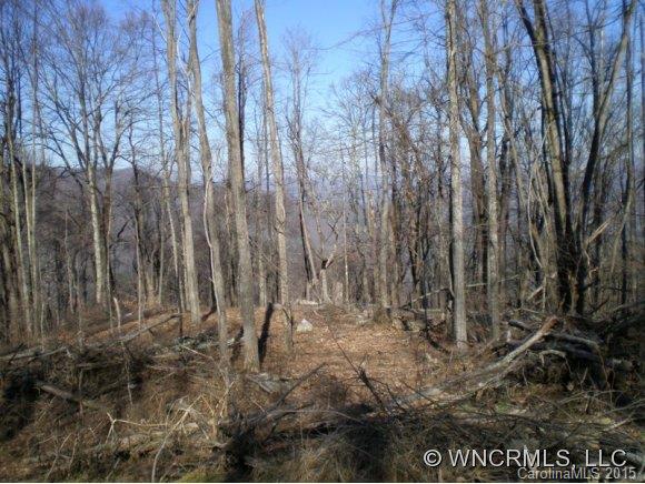 Property image 1 at 00 Slippery Rock Road, Waynesville, NC 28786