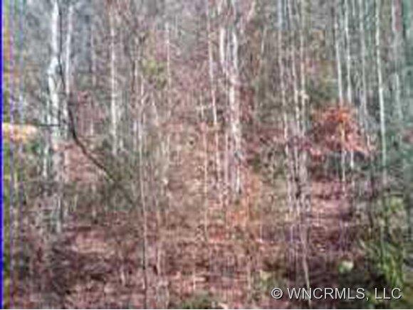 Property image 1 at Lot 57 Mystic Ridge, Mars Hill, NC 28754