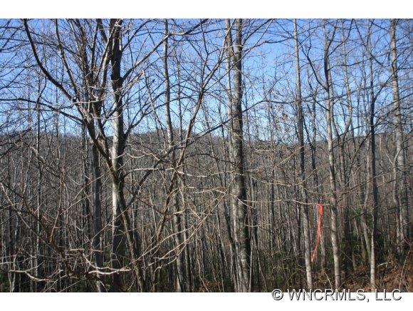 Property image 1 at 9999 Feather Falls Trail, Old Fort, NC 28762