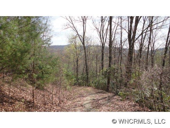 1007 Lower Loop Drive