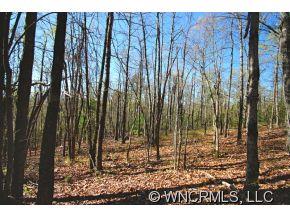 Property image 1 at 0 Speckled Trout Run, Brevard, NC 28712