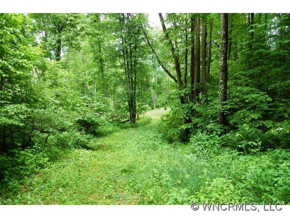 Property image 1 at Lot 41 Wolverine Court, Waynesville, NC 28786