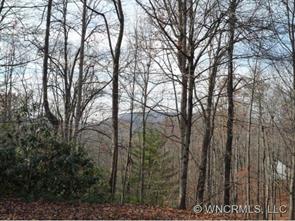 Property image 1 at Lot 43 Green Pine Ct, Hendersonville, NC 28739