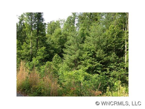 Property image 1 at 399 Smokey Mountain Trl, Marshall, NC 28753