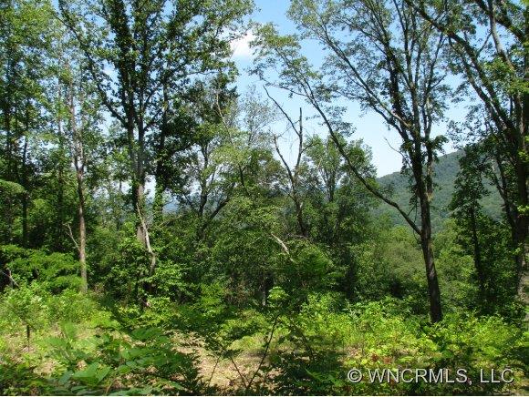 Property image 1 at 22 Chesten Mountain Drive, Asheville, NC 28803