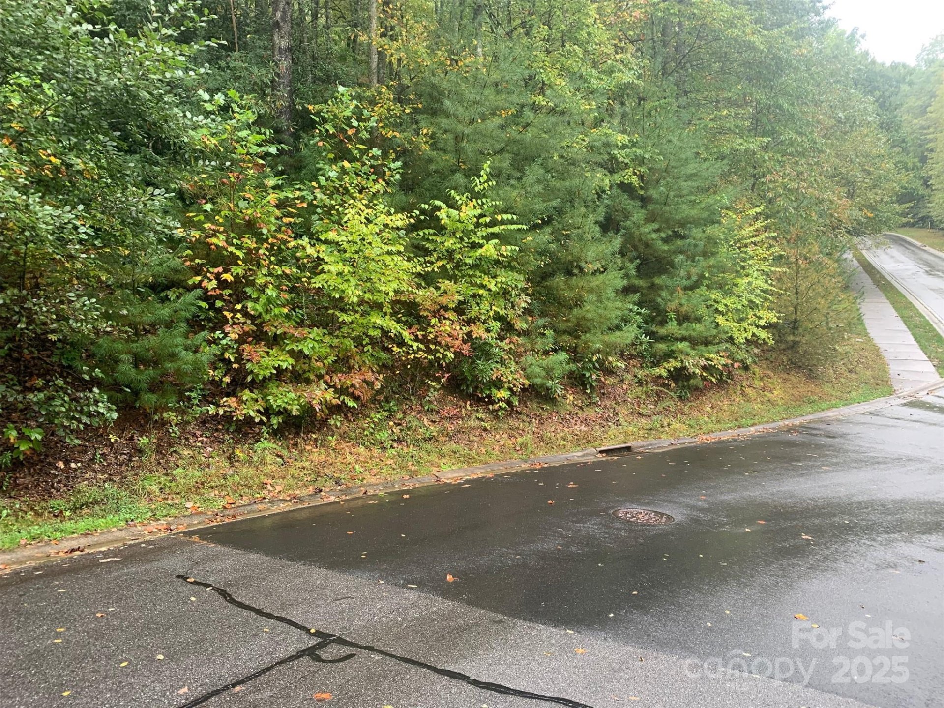 Property at 208 Settings Boulevard, Black Mountain, NC 28711