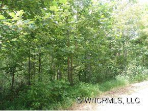 Property image 1 at Lot Ii Ivy Cove Road, Fairview, NC 28730