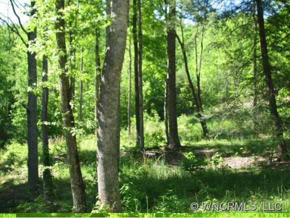 Property image 1 at 0 Justice Drive, Lake Lure, NC 28746