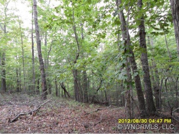 Property image 1 at 00 Hungryneck Hollow, Saluda, NC 28773
