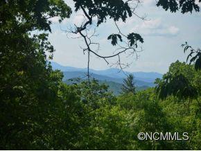 Property image 1 at 105 Crossvine Trail, Laurel Park, NC 28739