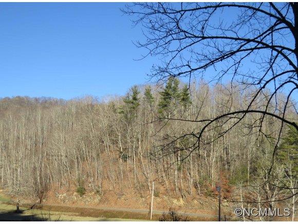 Property image 1 at 00 Meadow Fork Road, Hot Springs, NC 28743