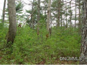 Property image 1 at 9 Partridge Lane, Weaverville, NC 28787