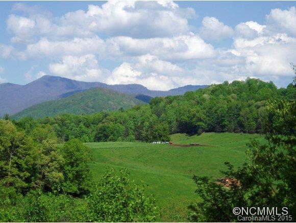 Property image 1 at Lot 10 Horseshoe Trail, Barnardsville, NC 28701