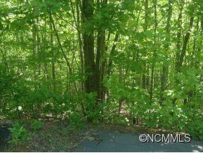 Property image 1 at 510 Atlantic Falls Trail, Old Fort, NC 28762