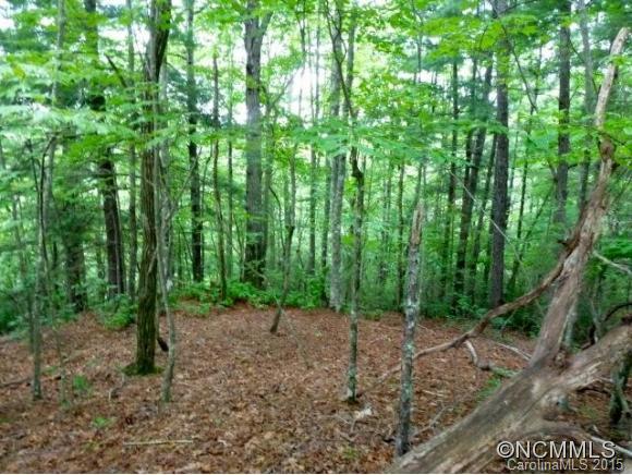 Property image 1 at 46 Fox Den, Brevard, NC 28712