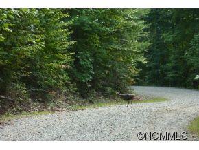 Property image 1 at 000 Grand Oak Trail, Waynesville, NC 28785
