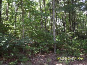 Property image 1 at 92 Big Bear Trail, Zirconia, NC 28790