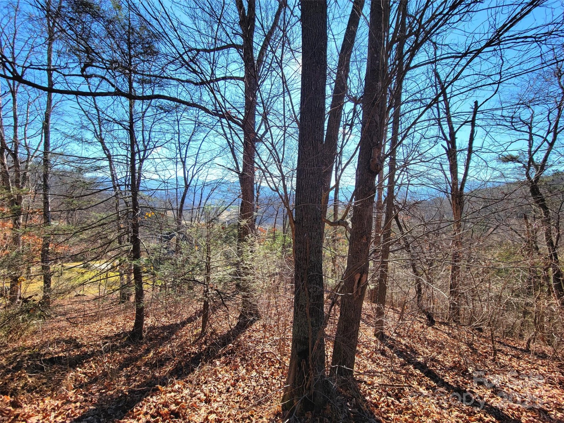 Property at 50 Feather Lane, Waynesville, NC 28786