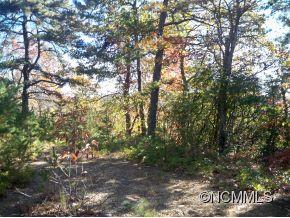 Property image 1 at 3 Glade Lane, Black Mountain, NC 28711