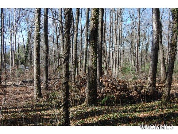 Property image 1 at 51 Rathfarnham Road, Asheville, NC 28803