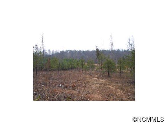 Property image 1 at Lot 2 Bridge Lane, Tryon, NC 28782