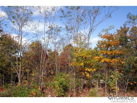 Property image 1 at Lot 29 Eastatoe Gap Rd, Rosman, NC 28772