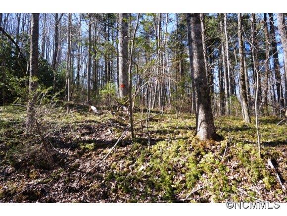 Property image 1 at L306a Lynn Crest Drive, Brevard, NC 28712