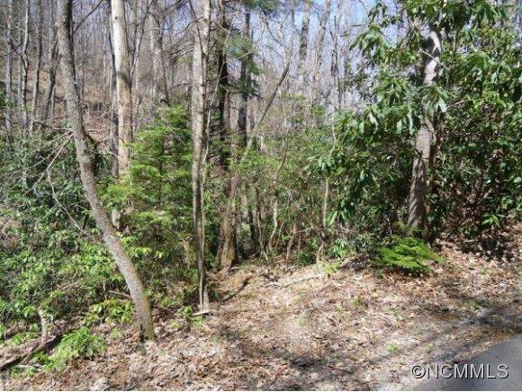 Property image 1 at 27 Rhododendron Road, Black Mountain, NC 28711